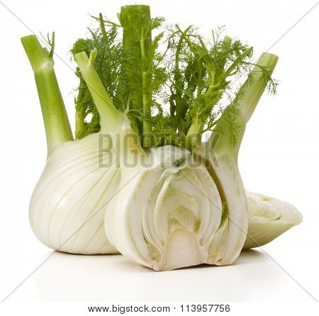 Fresh fennel bulb isolated on white background close up