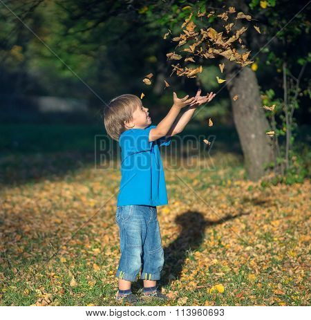 Boy throws leaves