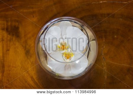 White Orchid Flower In Glass Vase With Water On Wooden Background.