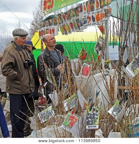 To Choose Seeds And Seedlings For The Garden