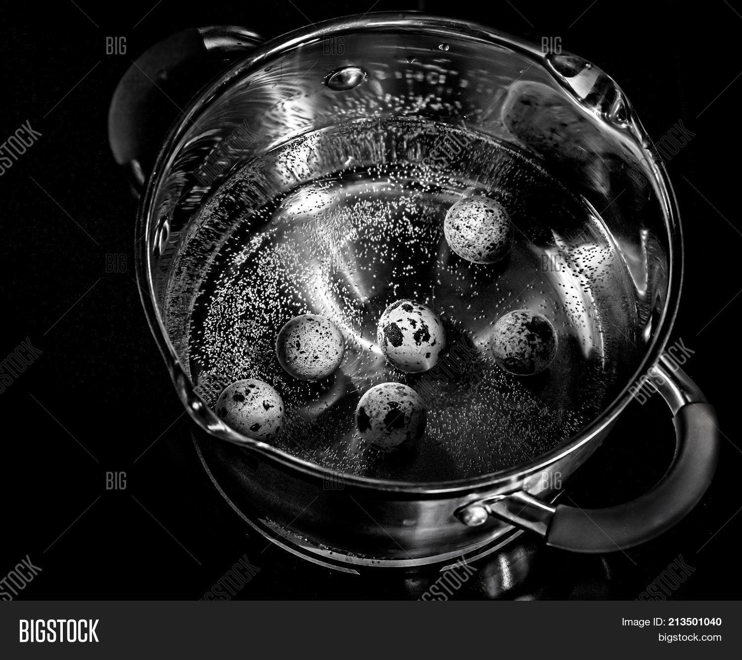 Quail Eggs Boil Metal Image & Photo (Free Trial) | Bigstock