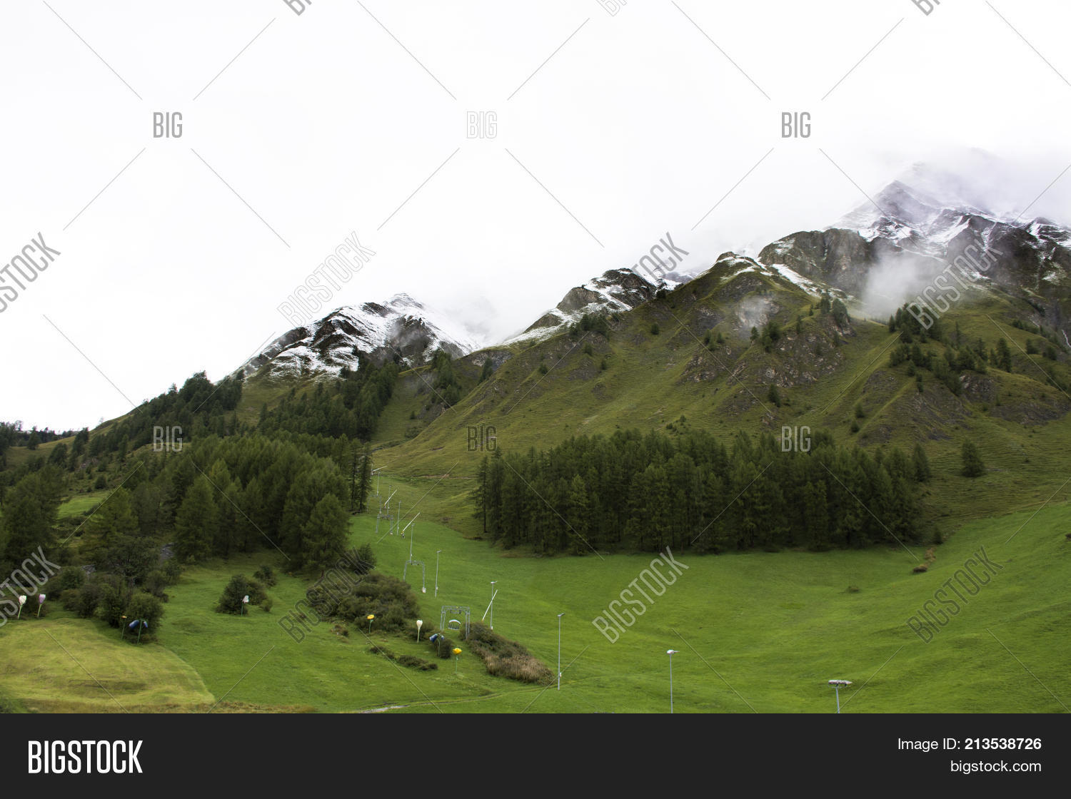Alpine Tree Forest On Image & Photo (Free Trial) Bigstock