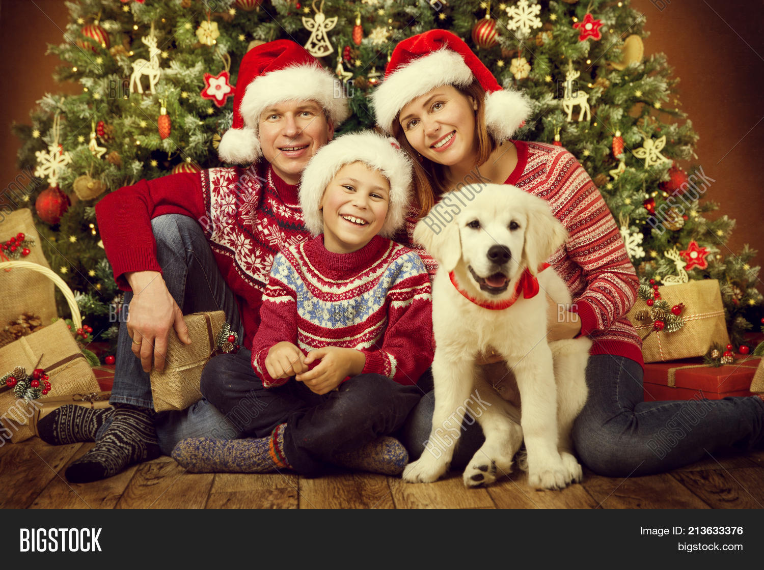 Christmas Family Dog Image & Photo (Free Trial) Bigstock
