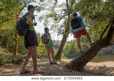 Group of hikers with backpack are having a walking journey through the forest on a sunny day. Friends are exploring the mountain woods on a weekend. Group tourists Hikers in the park