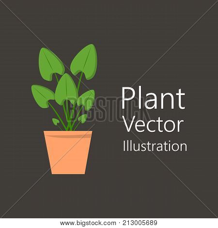 Flower pot with plant. It is used for design as an element for the interior. Vector illustration