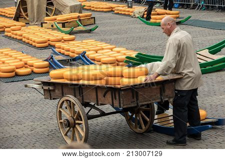 ALKMAAR THE NETHERLANDS - APRIL 21 2017: Typical cheese market in the city of Alkmaar in Netherlands one of the only four traditional Dutch cheese markets still in existence and one of the country's most popular tourist attractions.