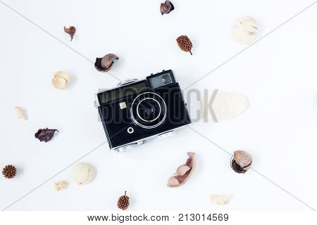 Flat lay. Vintage retro photo camera, beige roses and green leaves, top view