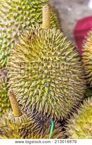 Group of Durian. tropical fruit.durian on the truck for sell. closeup durian. durian which is smelly sweet Thai fruit. durian in fruit market.
