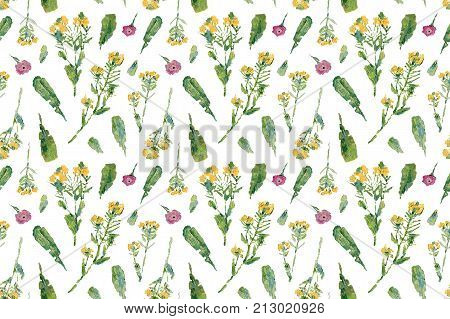 Vintage wild flowers. Seamless pattern with oil painted melilot on white background