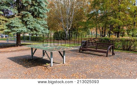 tenis table and a bench with fallen leaves on them in the warm autumn in the park