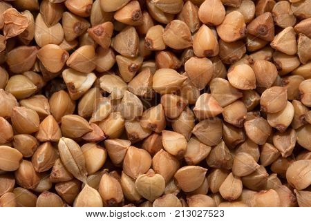background from buckwheat groats. macro . Photo of an abstract texture