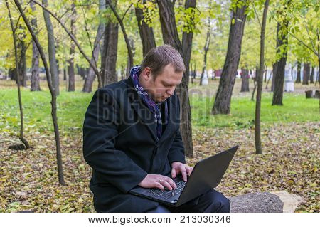 Businessman Having A Laptop In The Park In The Fall. Young Man Sitting On Tree In Park With Laptop O