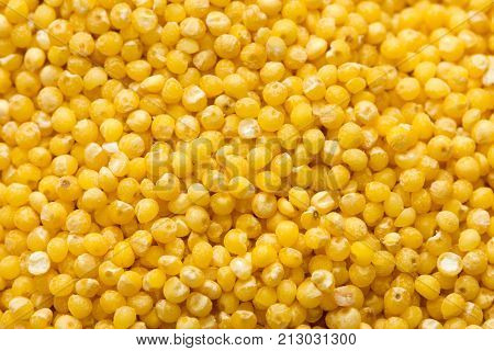 background of millet. macro . Photo of an abstract texture