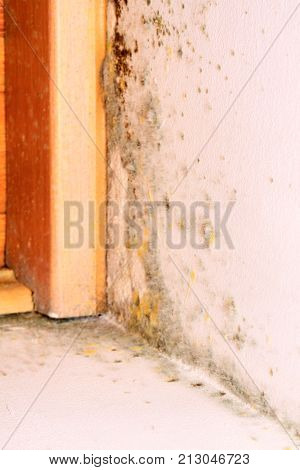 Problem with mould on the wall in house.