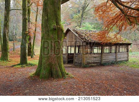 The picnic shelter in the autumn park.