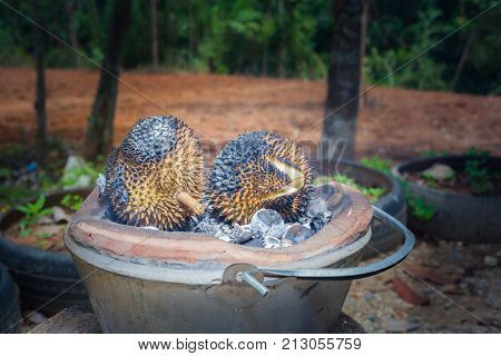 Barbecue Durian On Stove.