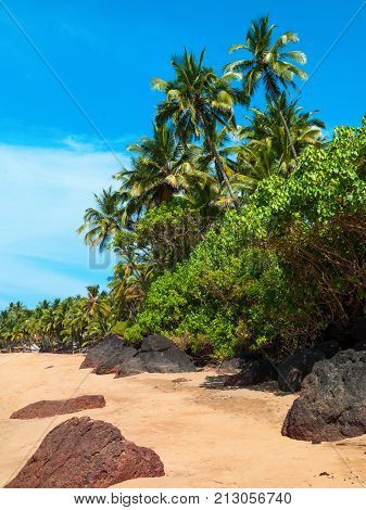 Photo perfectly beautiful beach Palolem in Goa in India