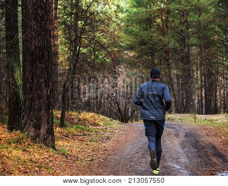 The man running in the forest. The Athletic man running on a forest trail. The man running on a trail in autumn forest yellow-green trees.