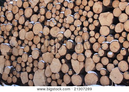Pulpwood