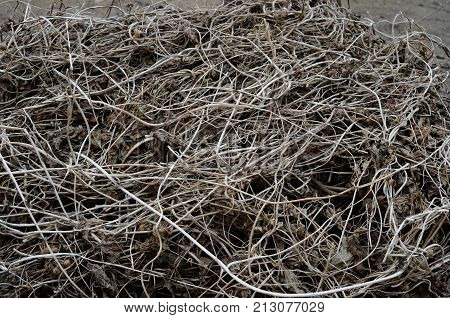 The many Dry brown cut vines are evenly textured intertwined on the ground