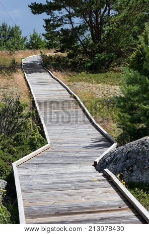 Boardwalk sandstorm sand juniper lichens natural environment on Mohni small island in Estonia Europe.