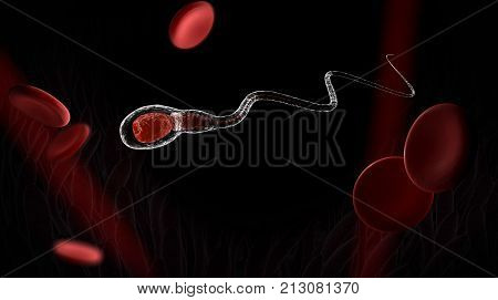 3D Rendering Sperm With Blood Cell, Isolated On Black