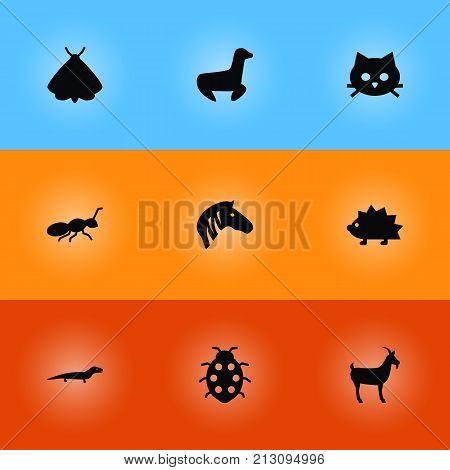 Collection Of Gecko, Livestock, Pussy And Other Elements.  Set Of 9 Zoo Icons Set.