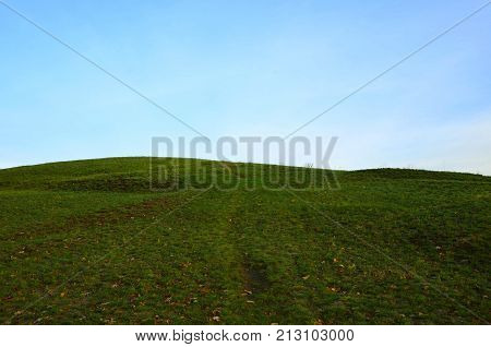Meadow with green grass on hilly terrain.