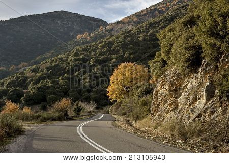 Rural road in the mountains in the autumn, sunny day (region Achaia, Greece)