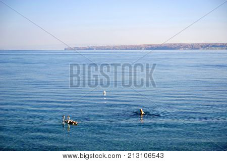 Leman Lake at Versoix, Geneva, Switzerland, Europe