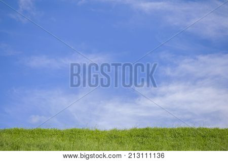 Sky view with grass grass sky view landscape