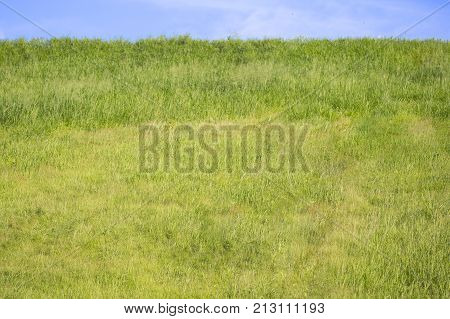 Sky view with grass grass sky view landscape