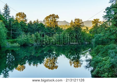 Fast mountain creeck or river in green wet forest