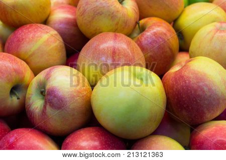 large juicy green and red apples closeup