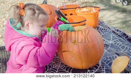 Pumpkin Carving