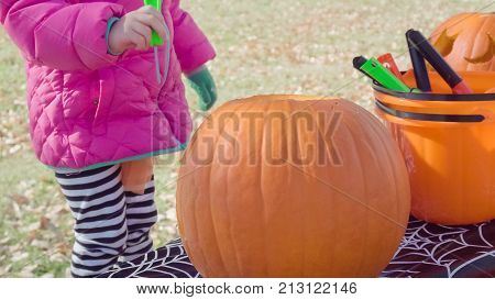 Pumpkin Carving