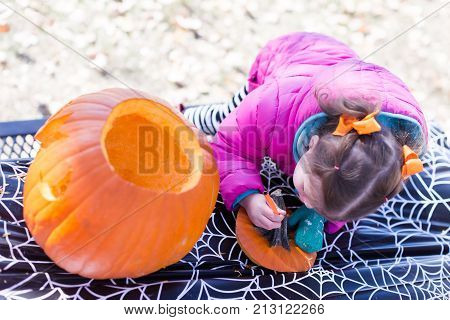 Pumpkin Carving