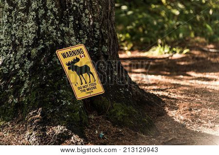 yellow sign Do not feed the moose in ontario canada algonquin national park