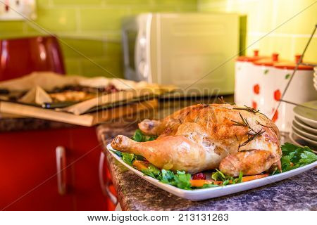 Closeup view of roasted chicken on white plate on kitchen table.