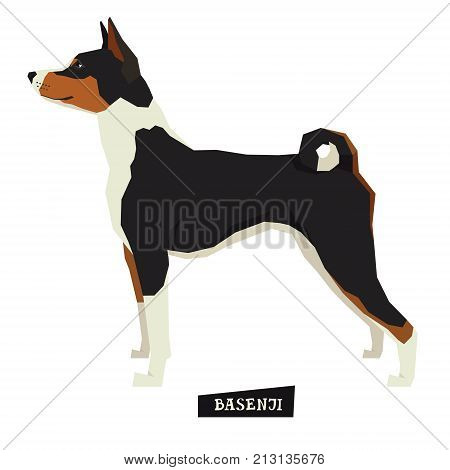 Dog collection Basenji Geometric style Isolated object set