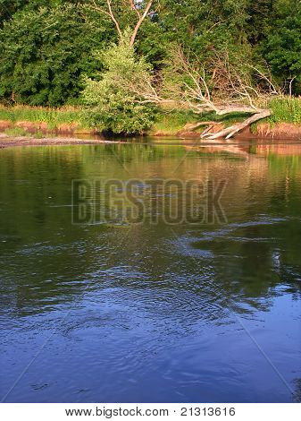 Rivière Kishwaukee dans Illinois