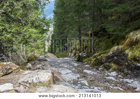 The of mountain in Alps the highest and most extensive mountain range system that lies entirely in Europe
