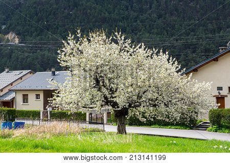 Town of Avrieux in Alps the highest and most extensive mountain range system that lies entirely in Europe