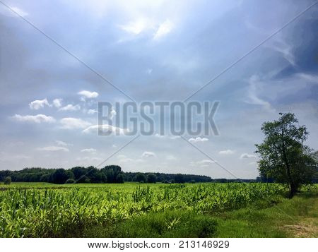 Beautiful green flat landscape with deep blue sky and clouds in the Belgian Kempen, province Antwerpen, Turnhout