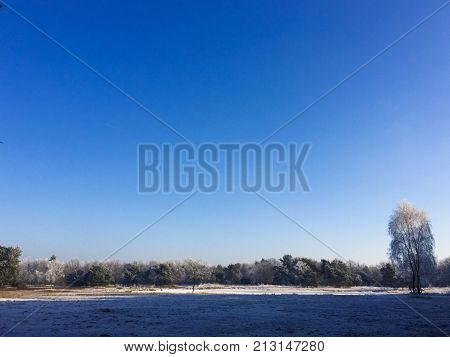 Landscape in the winter cloudy day of snow covered fields and forests in Belgium, Province Antwerp, District Turnhout, Rijkevorsel