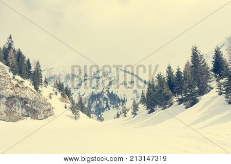 Snow covered mountain valley. Komna in Slovenia.