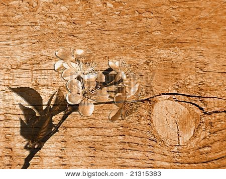 Hölzerne Struktur mit Blumen