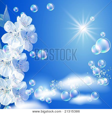 Himmel und weißen Blüten