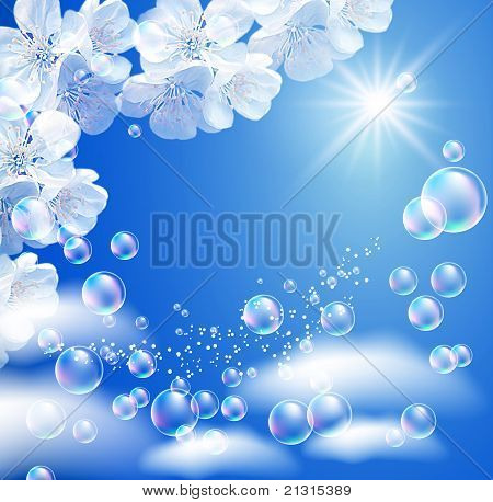 Himmel und weiße Blumen