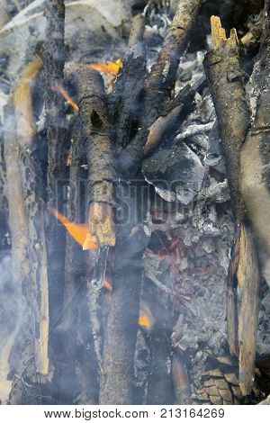 Bonfire in the forest ready for barbeque